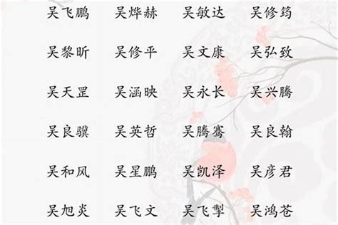 姓吳 取名|姓吴男孩名字大全